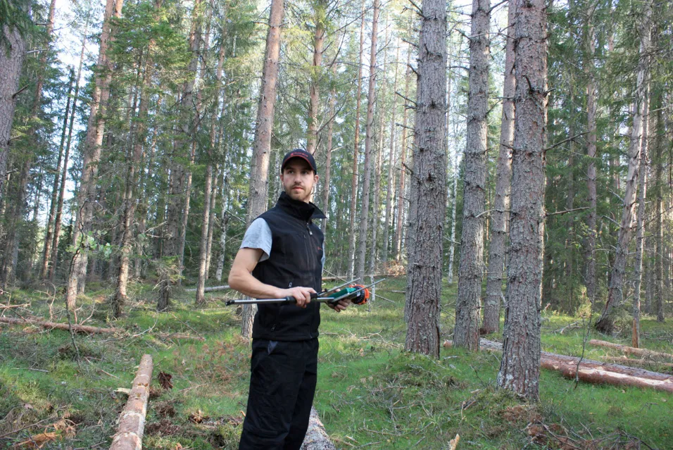 Person i arbetskläder står i en gallrad skog