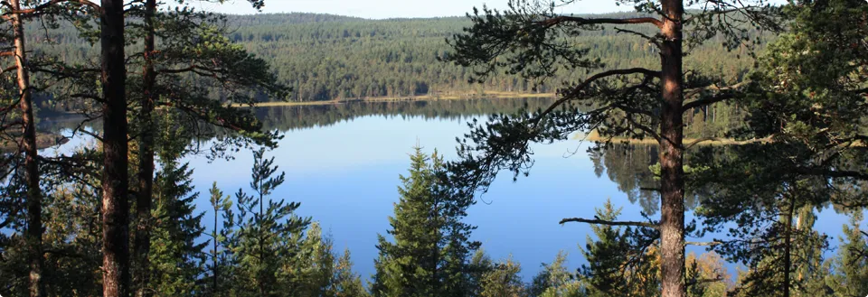 Skogsklädda åsar och en blank sjö en klar höstdag